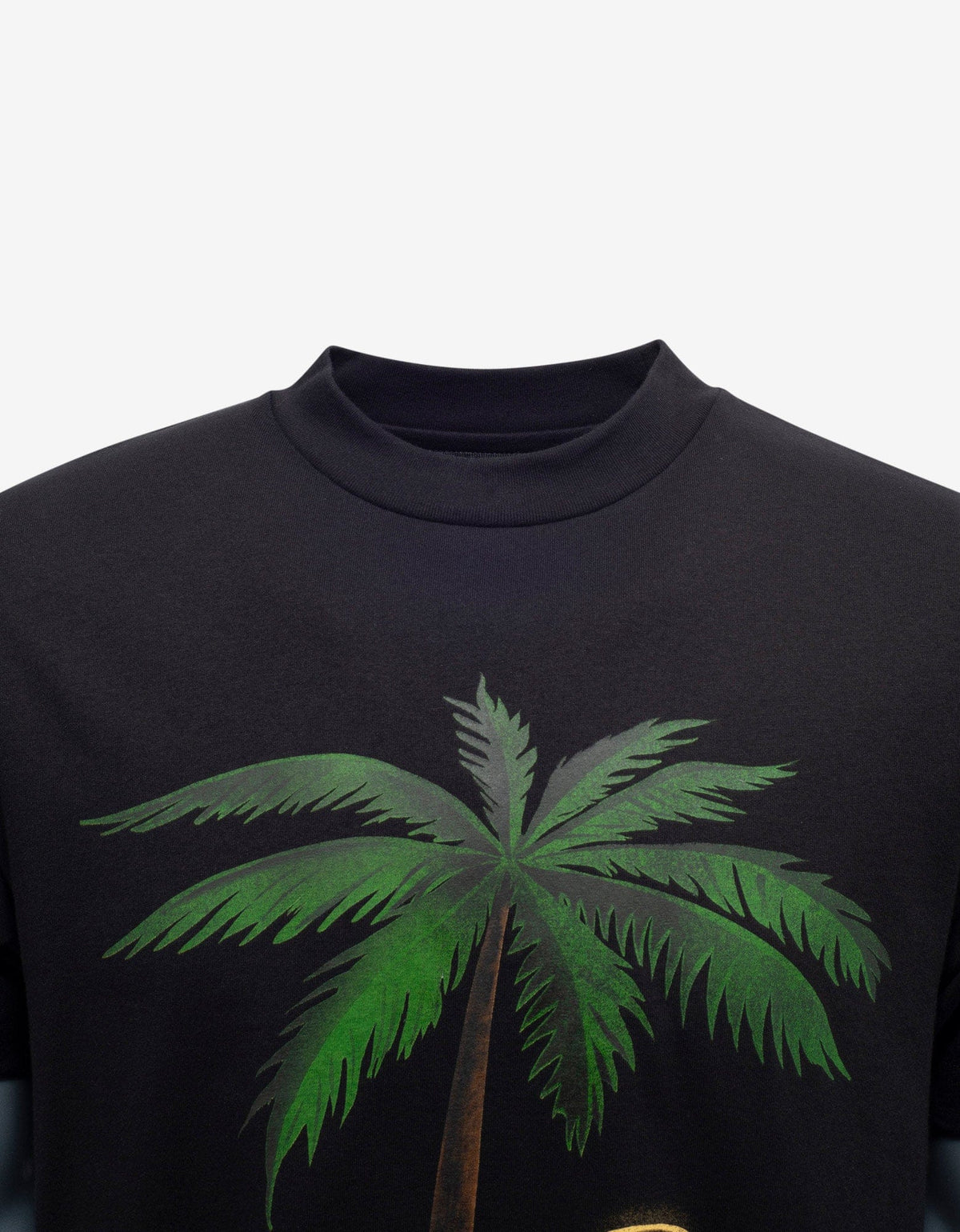 Palm Angels Black Burning Skeleton Print T-Shirt